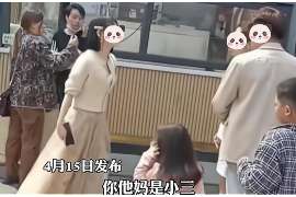 宁晋婚姻调查：无效或者被撤销的婚姻的法律后果